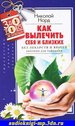 Как вылечить себя и близких без лекарств и врачей. Биоэнио для чайнико Как вылечить себя и близких без лекарств и врачей. Биоэнио для чайнико